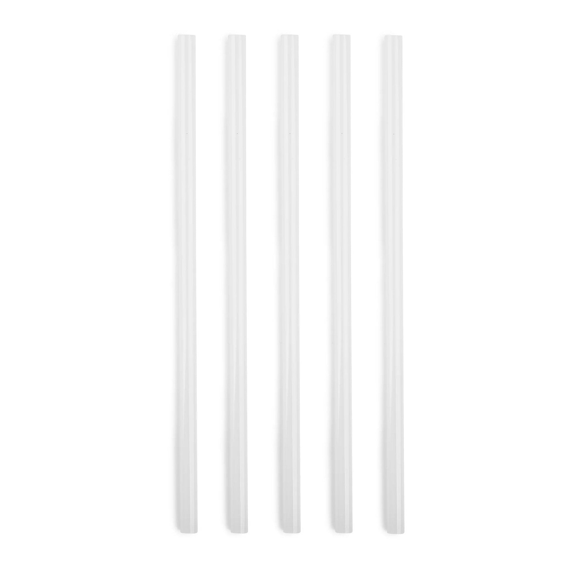 5-piece-replacement-straw-set-for-titan-3l-135-oz-z5 SPY2010_02.jpg